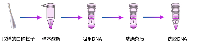 口腔拭子基因組DNA提取