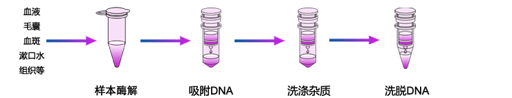 微量基因組DNA提取