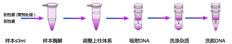 細菌基因組DNA提取