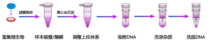 水體基因組DNA提取