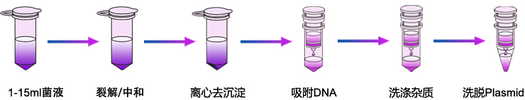 質粒提取