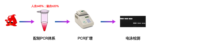 血液直接PCR